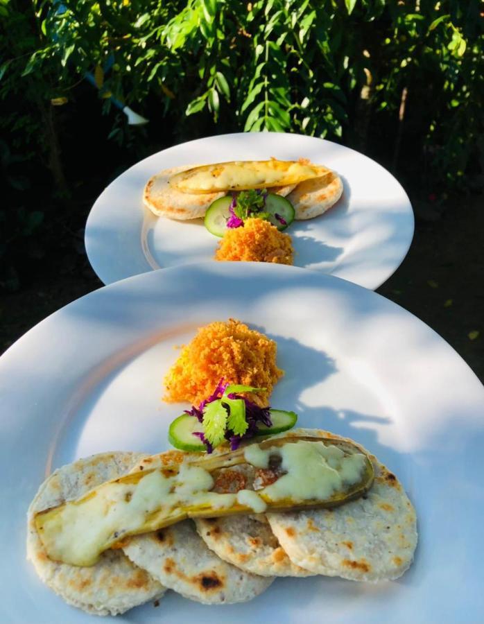 Haus 35 Bed and Breakfast Weligama Exteriör bild