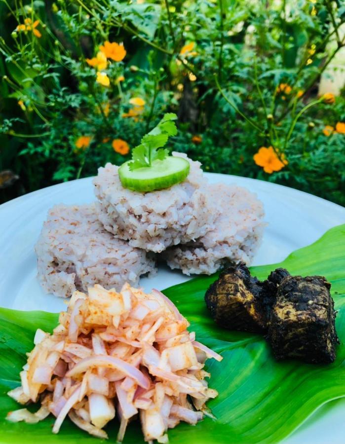 Haus 35 Bed and Breakfast Weligama Exteriör bild